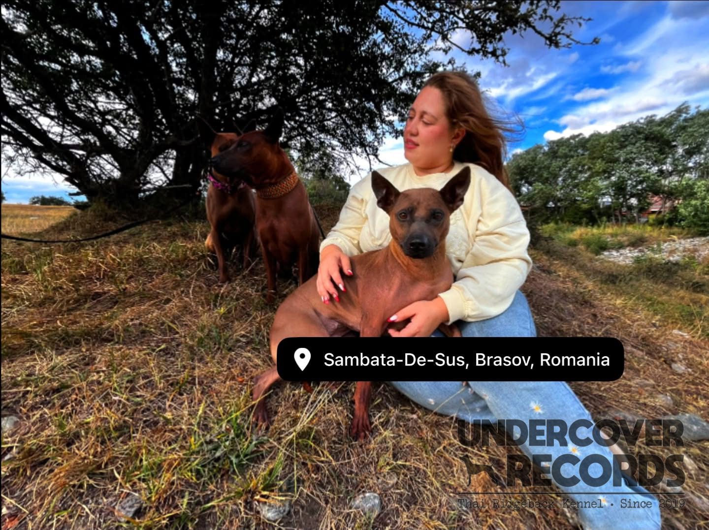 Leonie with Maya and other Thai Ridgebacks