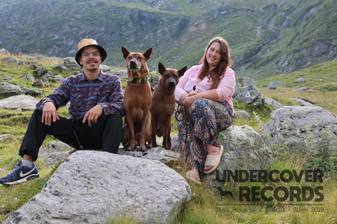 Undercover Records mit Thai Ridgebacks in den Bergen